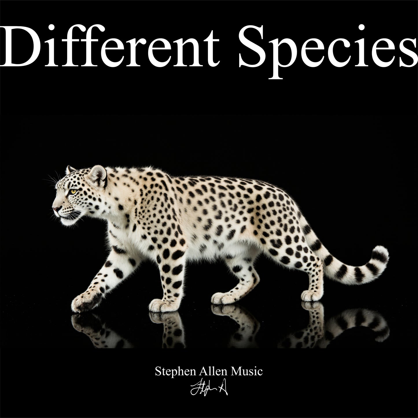 Leopard on a black background with 'Different Species' text and 'Stephen Allen Music' signature.