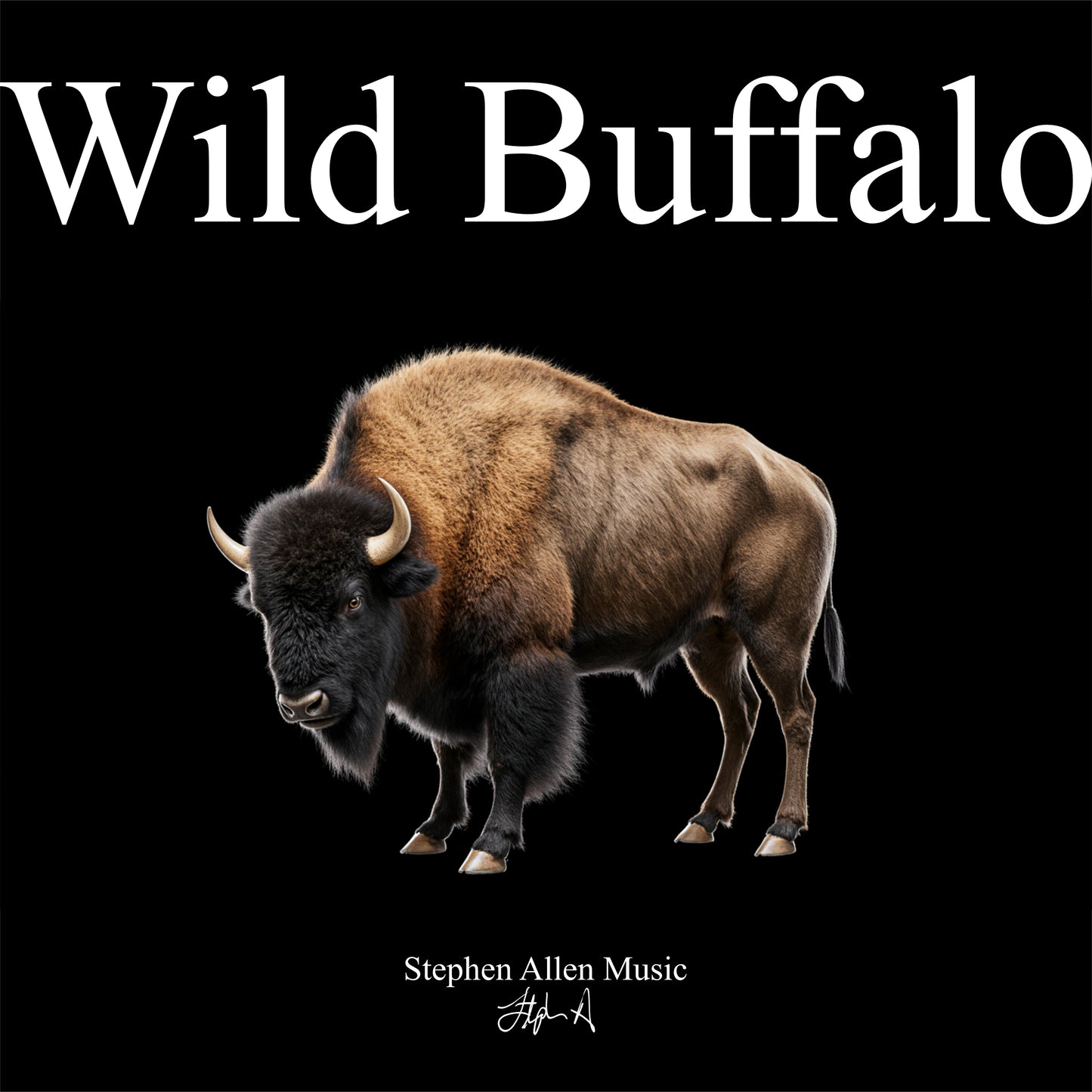 Album cover with a bison and text 'Wild Buffalo' by Stephen Allen Music on a black background