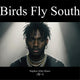 Birds Fly South | Trap Beat | Bmin 77BPM