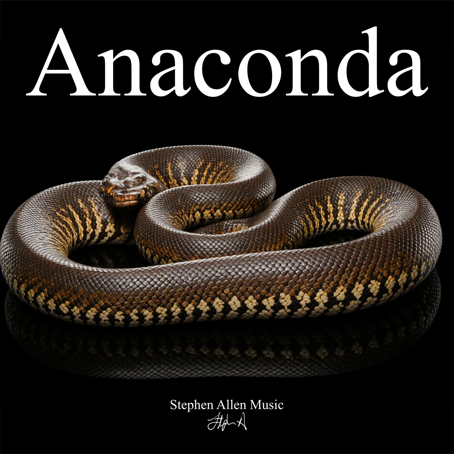 Album cover for 'Anaconda' by Stephen Allen Music featuring an anaconda on a black background.