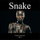 Snake | Afrobeats Beat | Gm 92 BPM