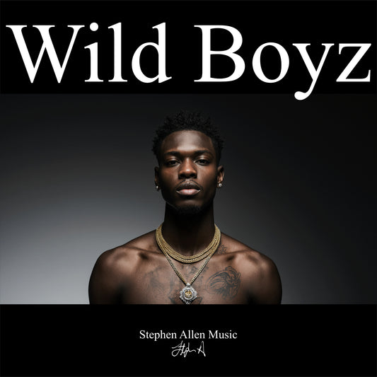 Album cover with a person wearing a necklace against a gradient background, featuring the text 'Wild Boyz' and 'Stephen Allen Music'.