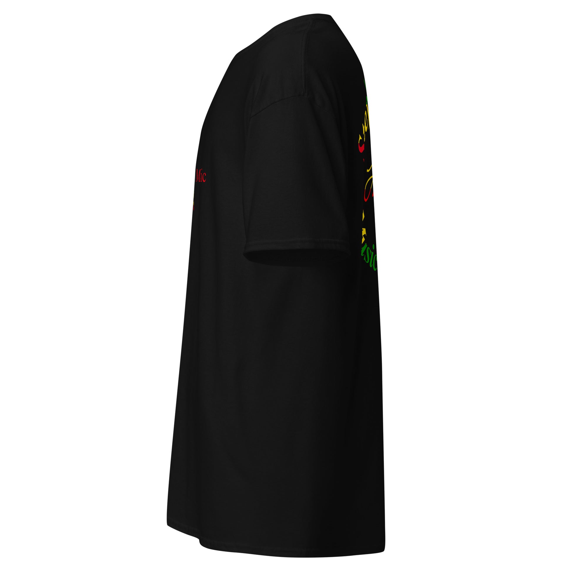 Black dress with colorful floral patterns on sleeves against a white background Stephen Allen Music