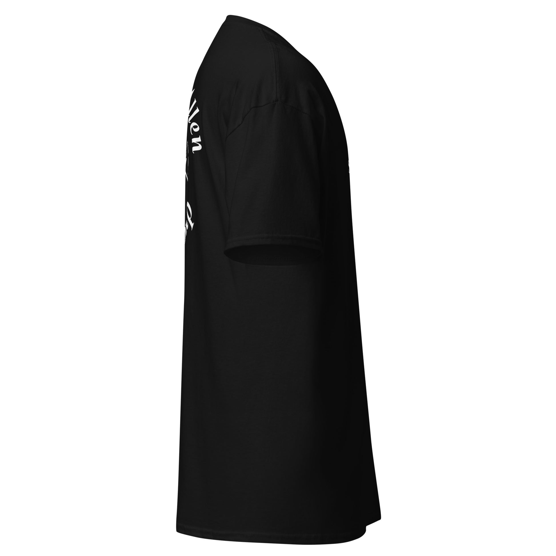 Black t-shirt with Italian flag design on sleeves against a white background Stephen Allen Music